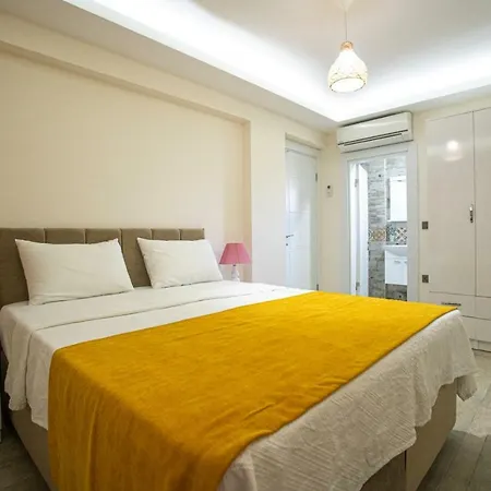 빌라 • Jakuzili Mustakil Havuzlu Lux Yeni Bati Villasi