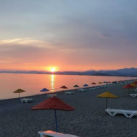 빌라 • Jakuzili Mustakil Havuzlu Lux Yeni Bati Villasi